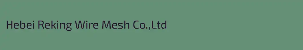 Hebei Reking Wire Mesh Co.,Ltd